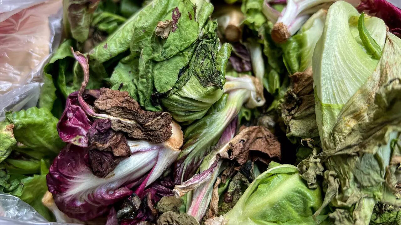 Was nur wenige Gärtner mit ihren Abfällen machen: ein natürlicher Trick, der Blätter in wenigen Minuten zum Glänzen bringt