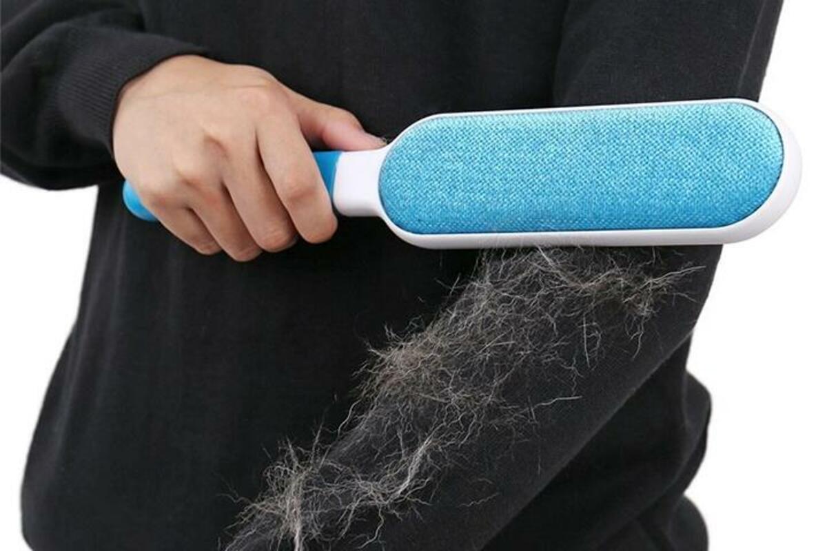 Einfache Methoden zum Entfernen von Tierhaaren von Textilien zu Hause