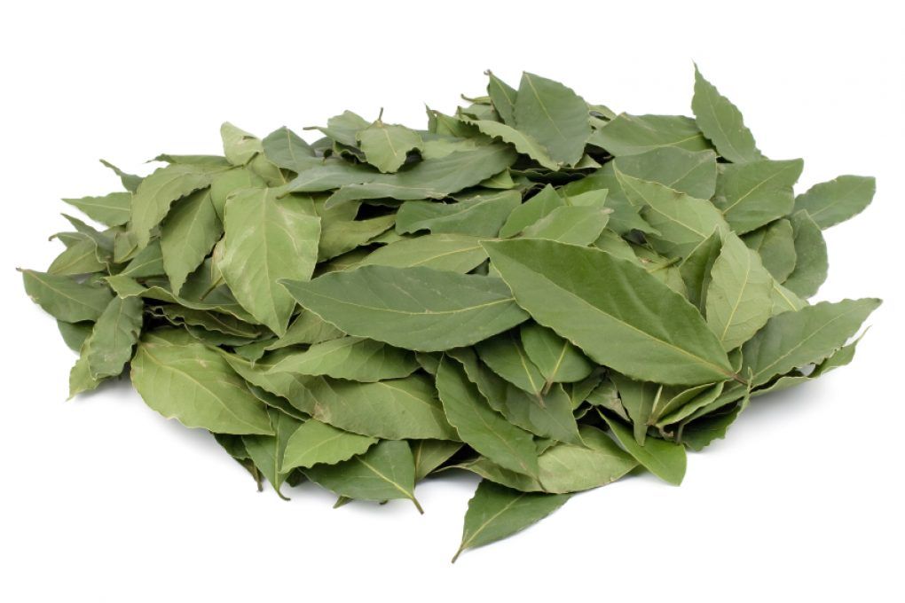 Meine Großmutter legt Lorbeerblätter in ihre Schuhe: „Ihr Leben hat sich innerhalb von drei Tagen komplett verändert.“