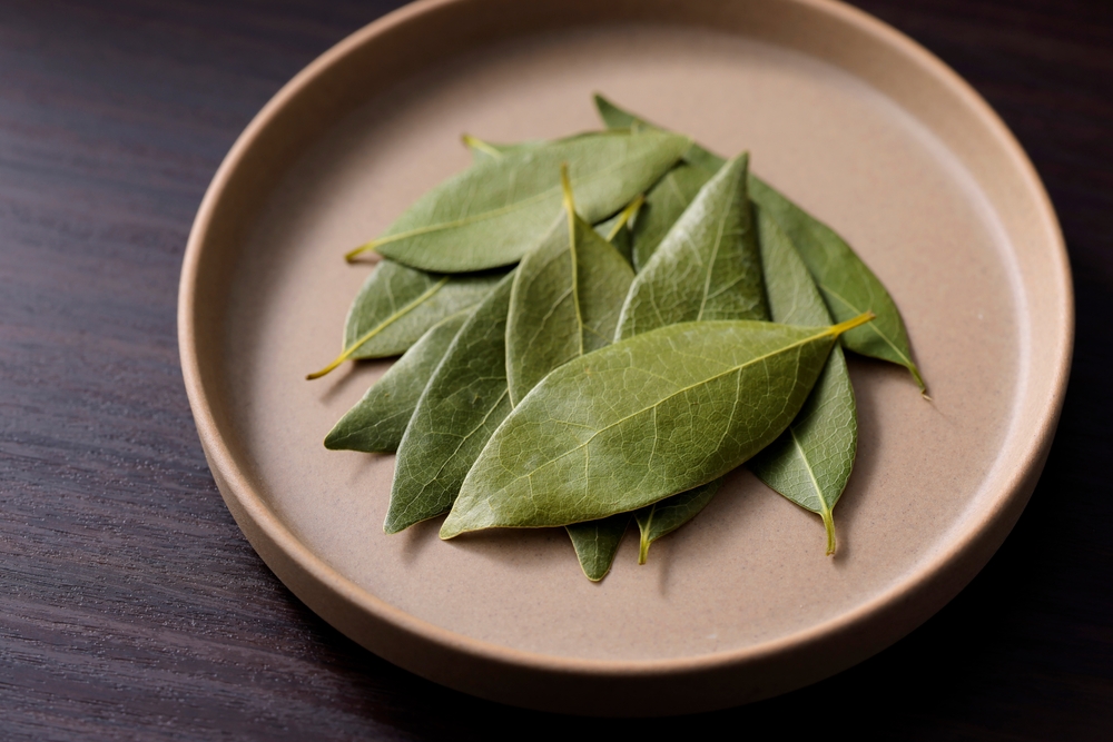Nehmen Sie es aus der Küche und legen Sie es auf den Heizkörper. Ihr Zuhause wird sich mit einem wunderbaren Duft füllen.
