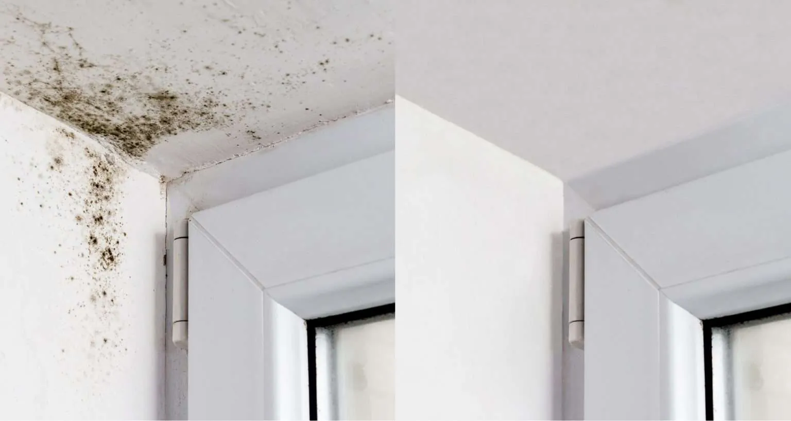 Ist die Feuchtigkeit in Ihrem Haus außer Kontrolle geraten? Wir erklären Ihnen, wie Sie dieses Problem in 4 einfachen Schritten lösen können