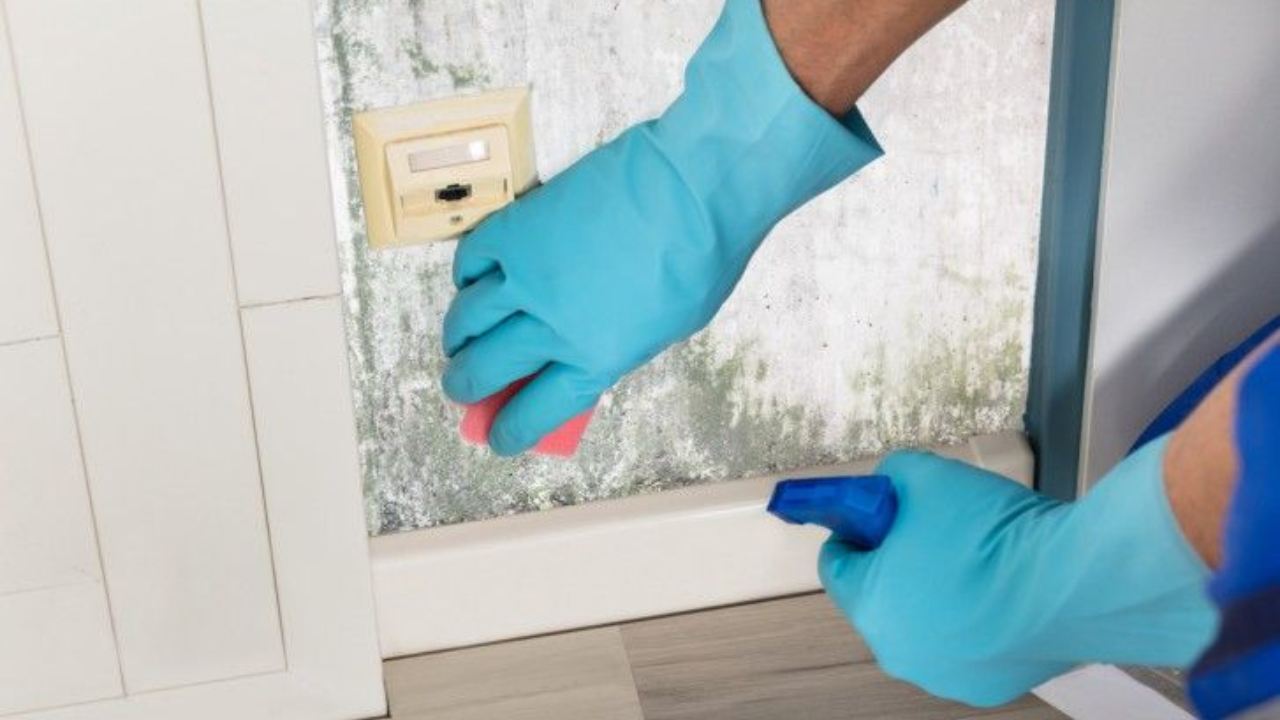 Mischen Sie es mit Wasserstoffperoxid und sprühen Sie es auf den Schimmel an der Wand. Er löst sich innerhalb von 20 Minuten auf. Methode zur Bekämpfung von Schimmel an der Wand