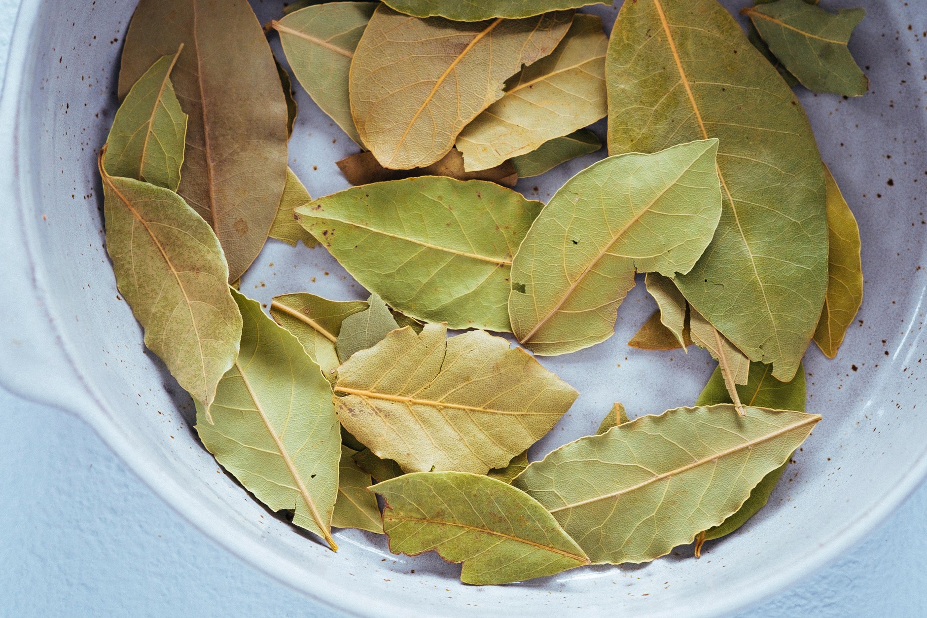 So werden Sie Motten und Ameisen los. Wirkt besser als chemische Mittel aus der Apotheke.