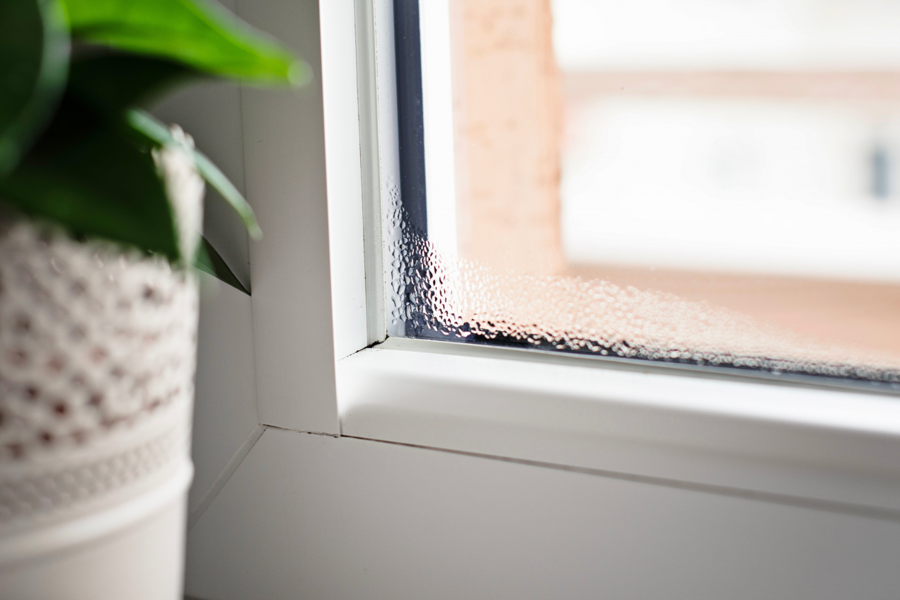 Warum bildet sich Kondenswasser an den Fenstern? So lässt sich das vermeiden