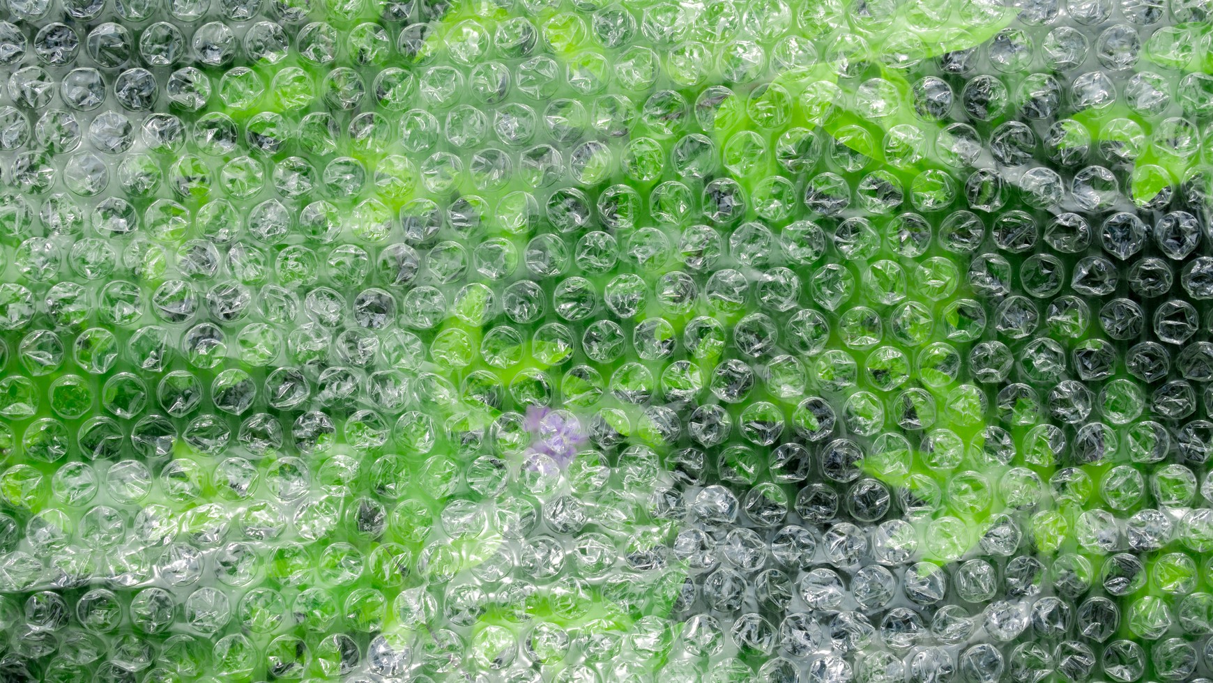 Werfen Sie Luftpolsterfolie nicht weg. Sie können sie im Garten verwenden