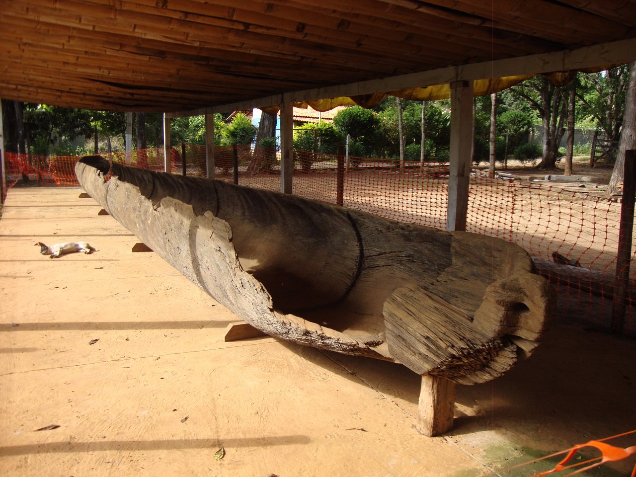 Nach 3000 Jahren tauchten Boote aus dem Flussbett auf. Sie enthüllen die Geheimnisse der Bronzezeit.