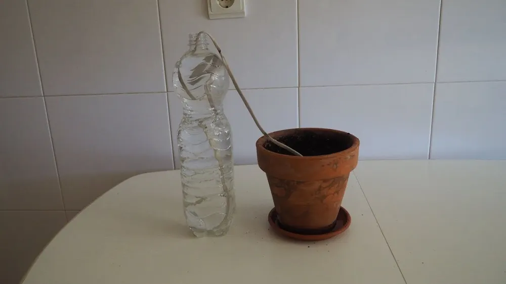 Wie man Plastikflaschen in Töpfe mit automatischem Bewässerungssystem verwandelt: ein Trick, den Baumschulen anwenden