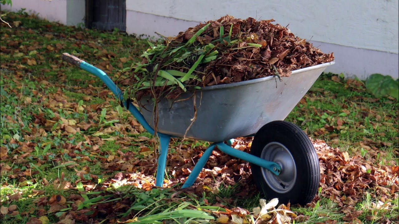 Seit ich wie die Japaner abgefallene Blätter verwende, sind meine Pflanzen schöner denn je.
