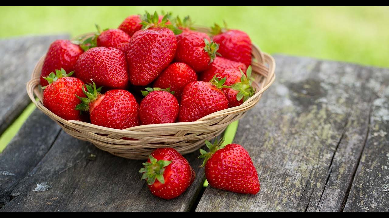 Weder im Kühlschrank noch in der Obstschale – das ist der beste Ort, um Erdbeeren aufzubewahren, damit sie nicht verderben.