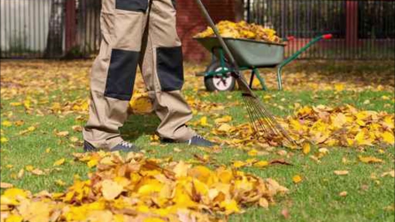 Herbst im Garten: Das Aufkehren von Laub zerstört Ihren Boden, aber es gibt eine einfache Methode, die mit den ersten Regenfällen alles ändern wird
