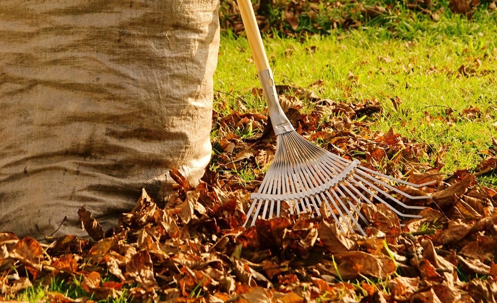 Herbst im Garten: Das Aufkehren von Laub zerstört Ihren Boden, aber es gibt eine einfache Methode, die mit den ersten Regenfällen alles ändern wird