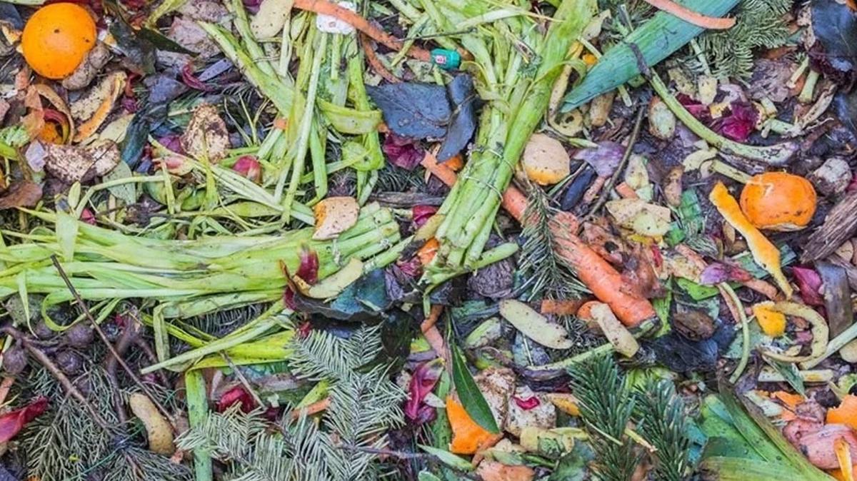 Was nur wenige Gärtner mit ihren Abfällen machen: ein natürlicher Trick, der Blätter in wenigen Minuten zum Glänzen bringt