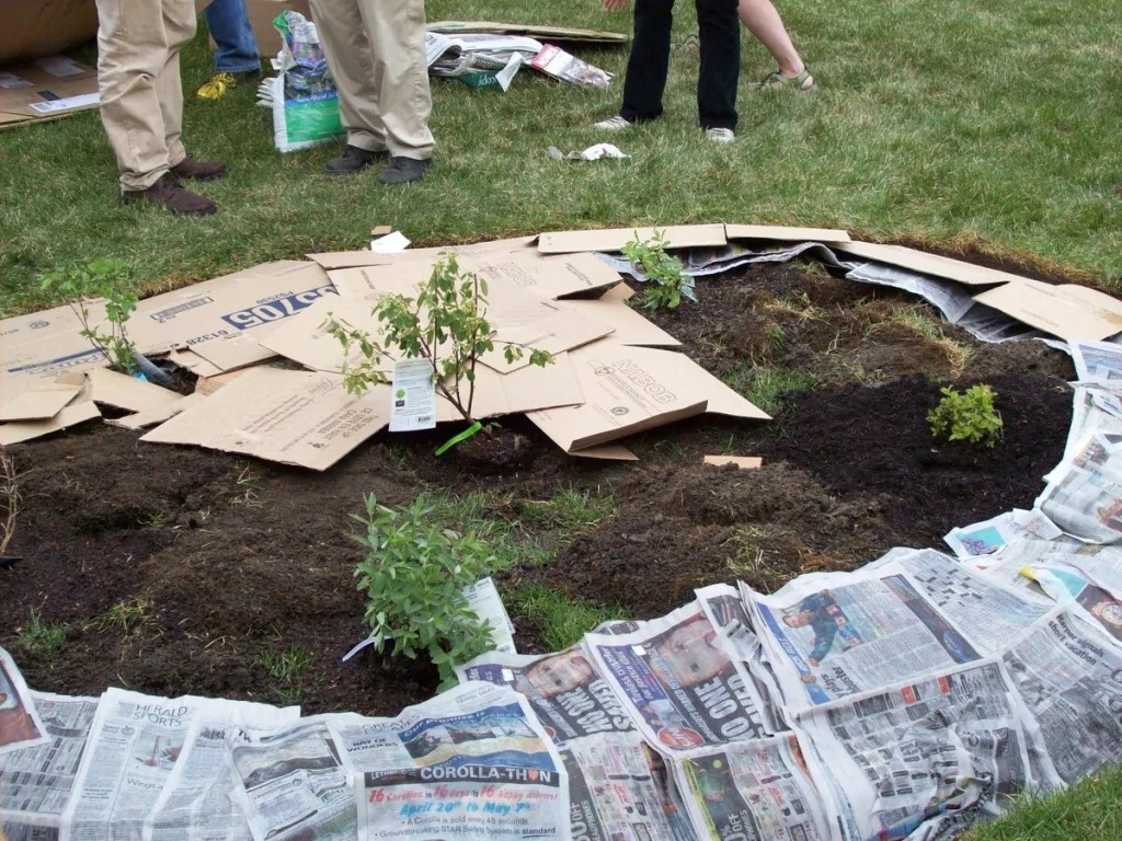 Pflanzen Sie im November in Ihrem Garten. Im Frühjahr werden Sie kein einziges Unkraut mehr sehen